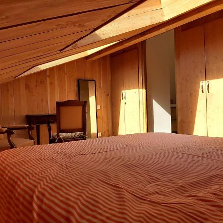 L'Annexe De Ma Cabane Bordeaux Luaran gambar